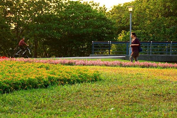 古亭河濱公園地景花海、夜拍 176