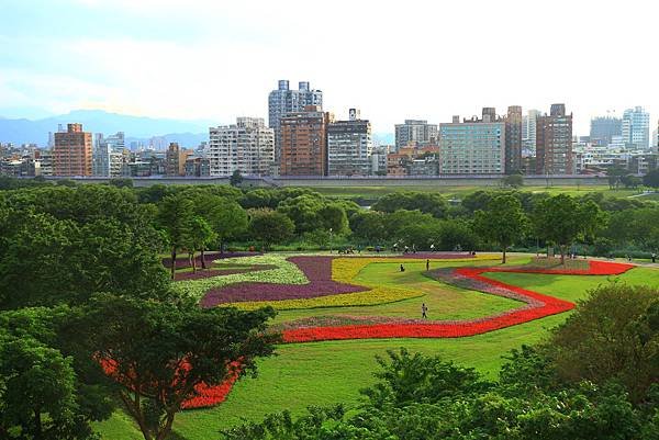 古亭河濱公園地景花海、夜拍 059