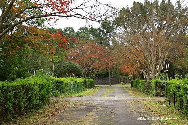 楓紅、美軍宿社區 432