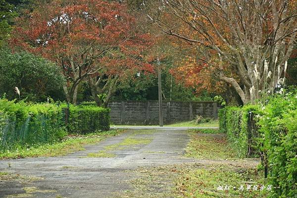 楓紅、美軍宿社區 429