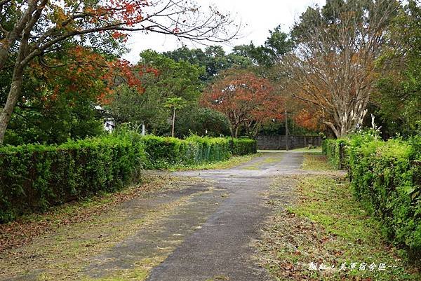 楓紅、美軍宿社區 426