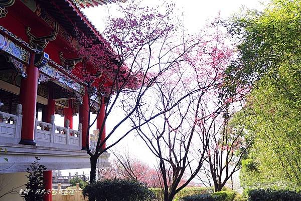 吳氏宗祠 205