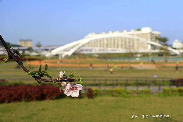 陽光運動公園‧陽光橋 052