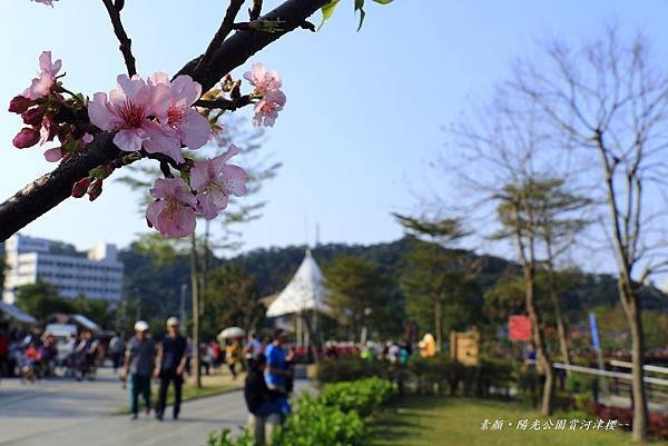 陽光運動公園‧陽光橋 059