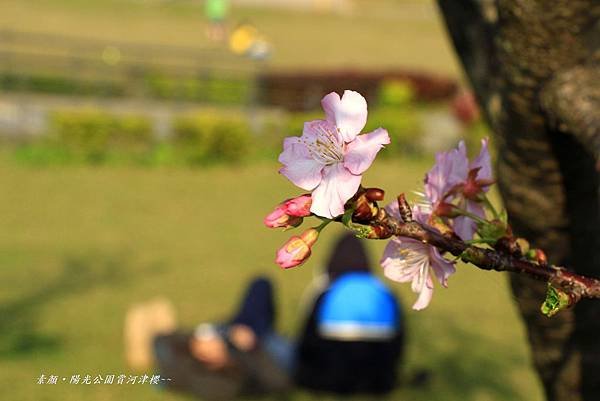 陽光運動公園‧陽光橋 085