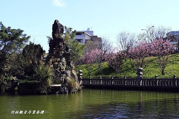 竹林寺春櫻 078