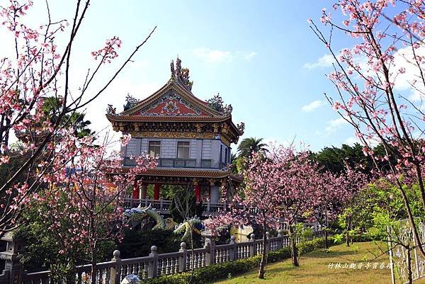 竹林寺春櫻 467