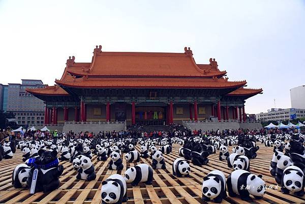 東方寺、圓仔貓熊大軍 548