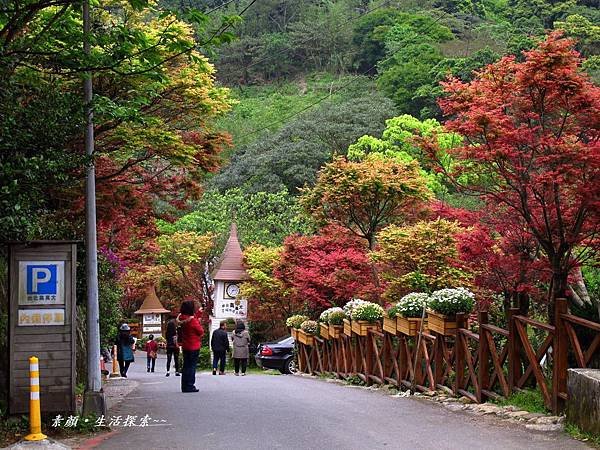 、老梅台北奧萬大 010