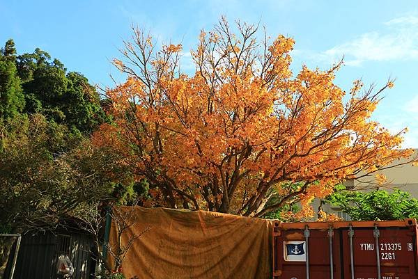 IMG_9470.JPG