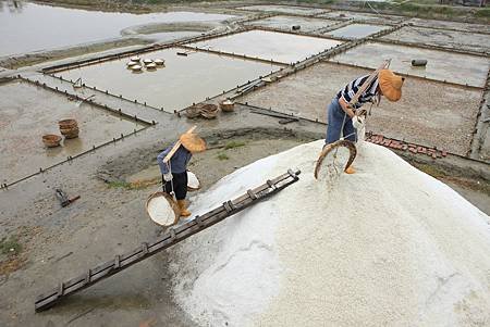 鹽工們一步一腳將收成的洲南白金鹽挑上鹽堆