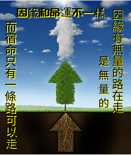 因緣和命運不一樣.png