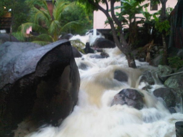 IMG00097-20100320-0824.jpg