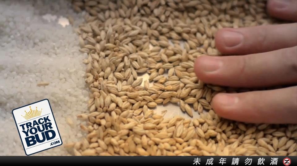 BUD RICE