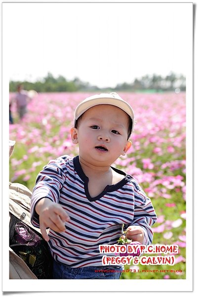 DSC_8598(001).jpg