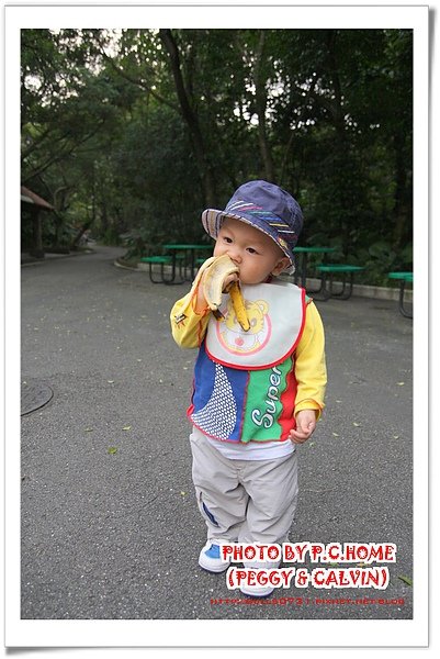 IMG_8878(001).jpg