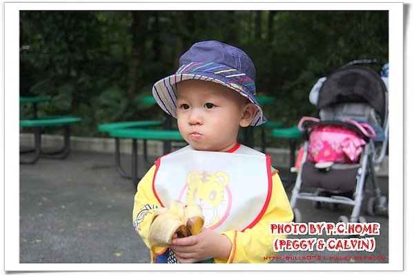 IMG_8873(001).jpg