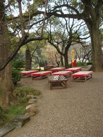 DSC01170.JPG