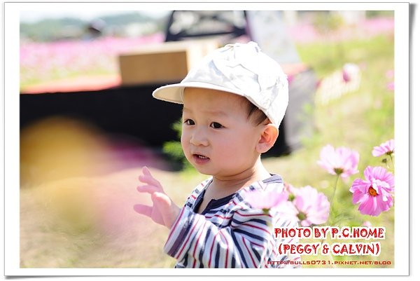 DSC_8621(001).jpg