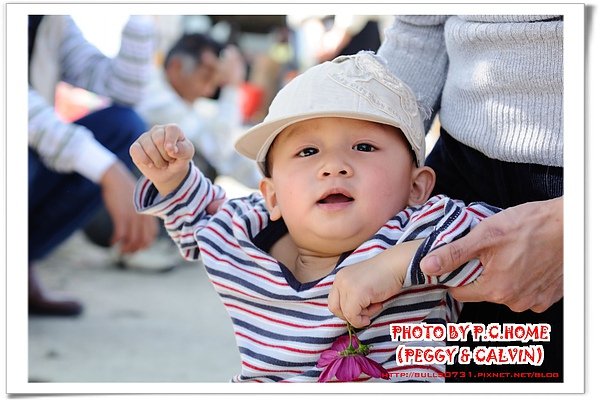 DSC_8585(001).jpg