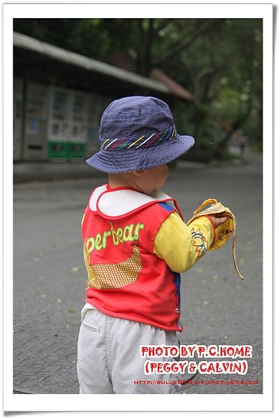 IMG_8882(001).jpg
