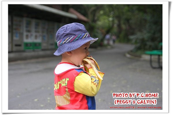 IMG_8885(001).jpg