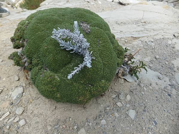 11. DSCF6180.JPG