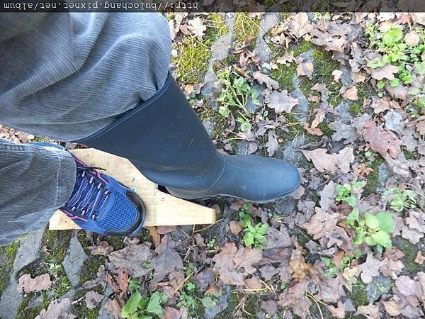 55. DSCF2636.JPG
