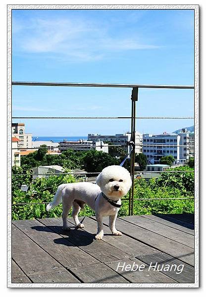 nEO_IMG_IMG_4384.jpg