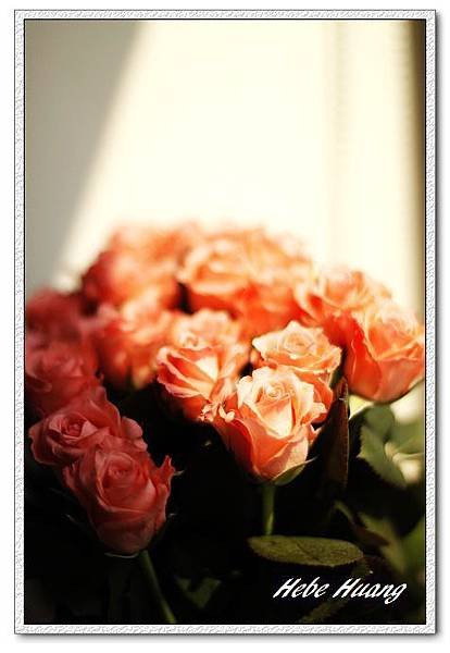 nEO_IMG__MG_0018.jpg
