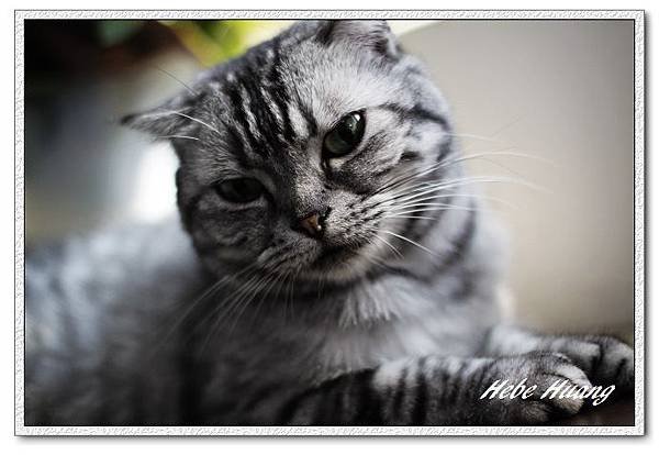 nEO_IMG__MG_0028.jpg