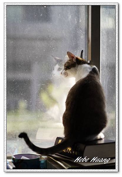 nEO_IMG__MG_0030.jpg