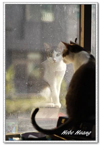 nEO_IMG__MG_0032.jpg