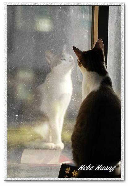 nEO_IMG__MG_0038.jpg