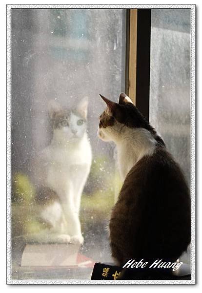 nEO_IMG__MG_0034.jpg