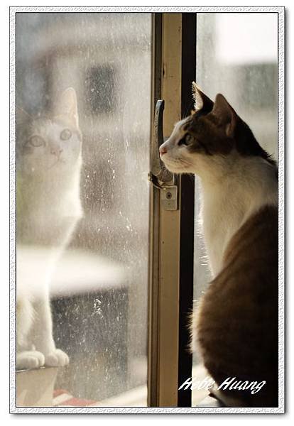 nEO_IMG__MG_0045.jpg