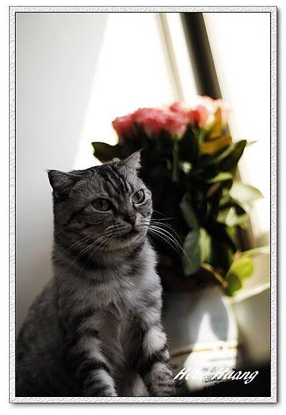 nEO_IMG__MG_0078.jpg