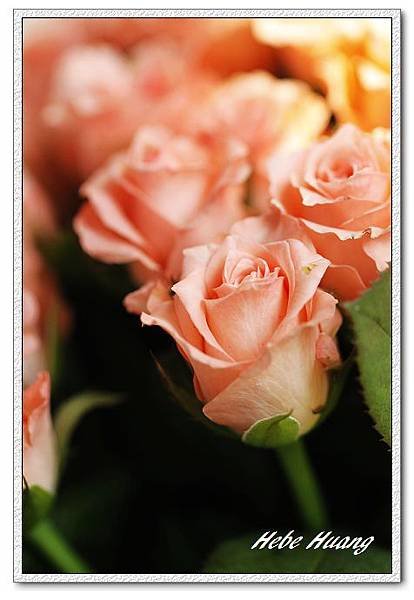 nEO_IMG__MG_0084.jpg