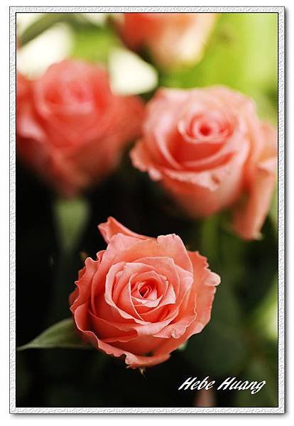 nEO_IMG__MG_0086.jpg