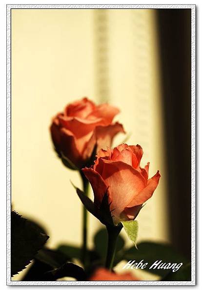 nEO_IMG__MG_0089.jpg