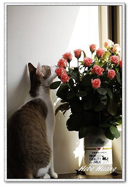 nEO_IMG__MG_0093.jpg