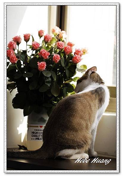 nEO_IMG__MG_0101.jpg