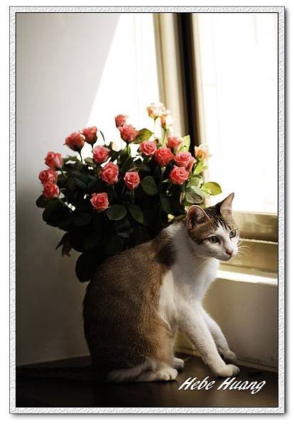 nEO_IMG__MG_0129.jpg