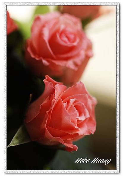 nEO_IMG__MG_0164.jpg