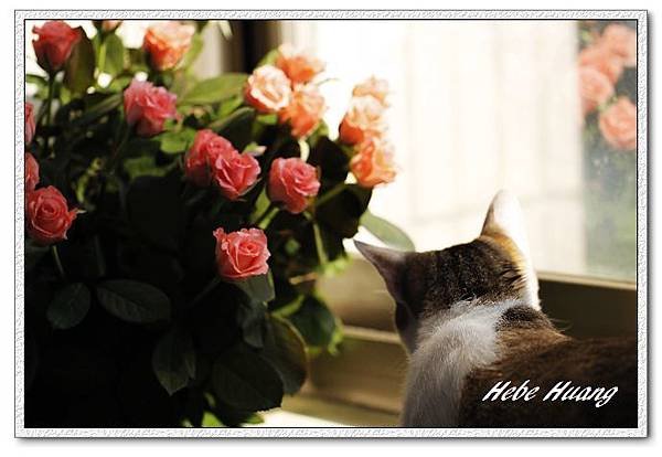 nEO_IMG__MG_0169.jpg