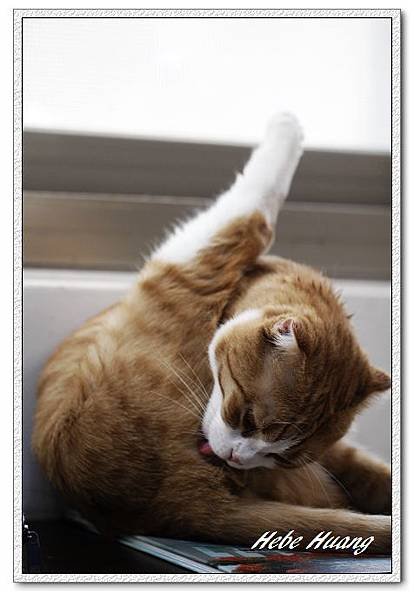 nEO_IMG__MG_0171.jpg