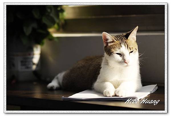 nEO_IMG__MG_0173.jpg