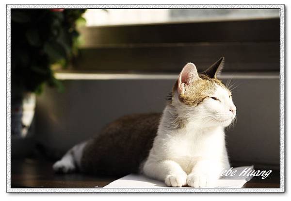 nEO_IMG__MG_0175.jpg