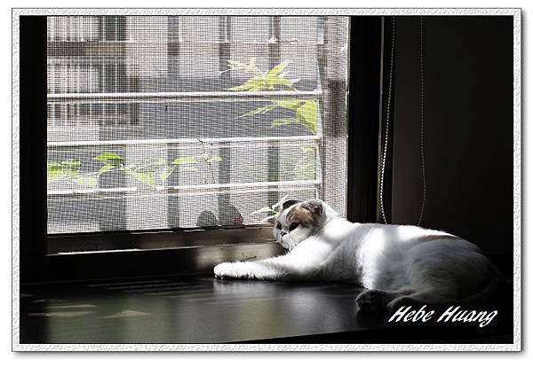 nEO_IMG__MG_9574.jpg