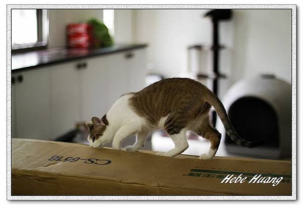 nEO_IMG__MG_9591.jpg